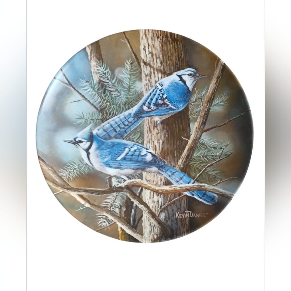 The Blue Jay Limited Edition